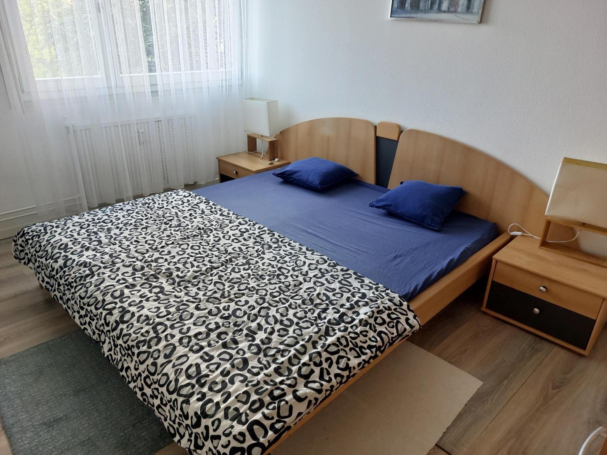 3 Zimmer Apartment In Saint Louis, Nahe Euroairport מראה חיצוני תמונה